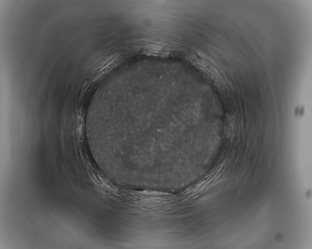 X0000100201154200806131223