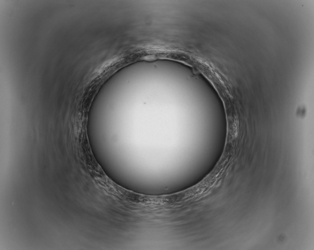 X0000100201157200806131223