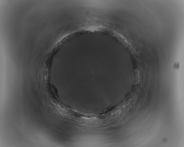 X0000100201158200806131223