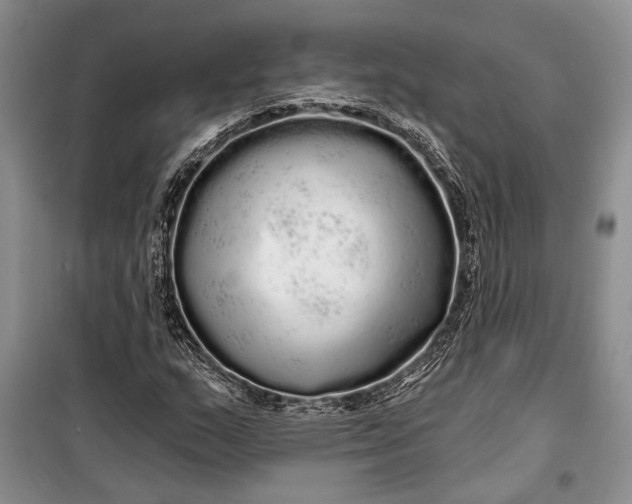 X0000100201159200806131223