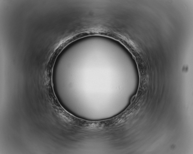 X0000100201160200806131223