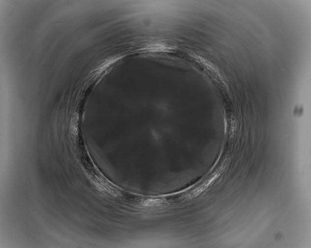 X0000100201161200806131223