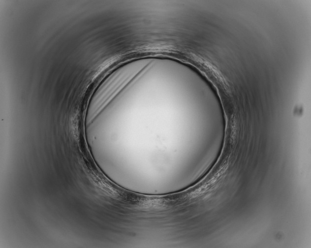 X0000100201162200806131223