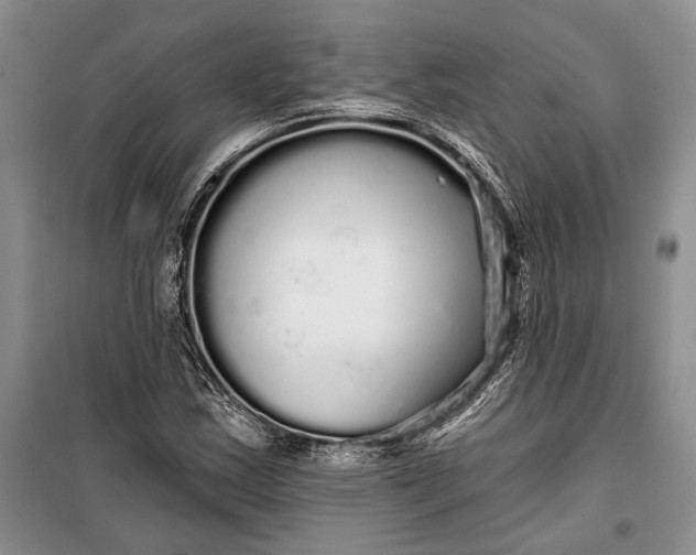 X0000100201163200806131223