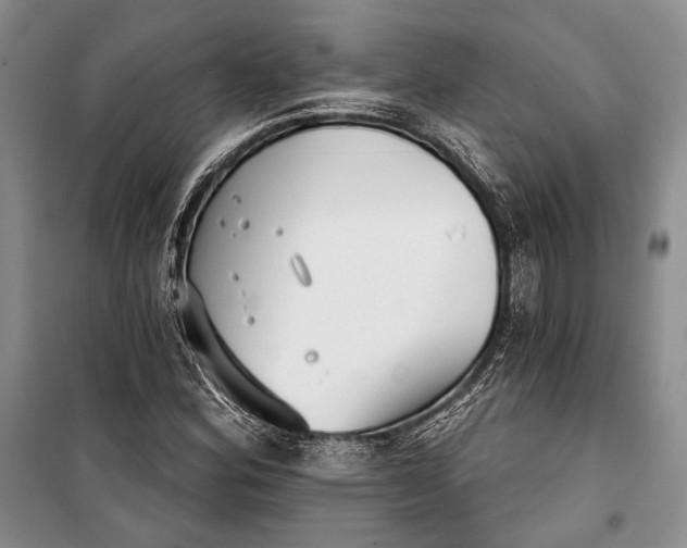 X0000100201164200806131223