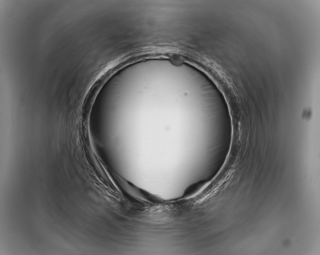 X0000100201165200806131223