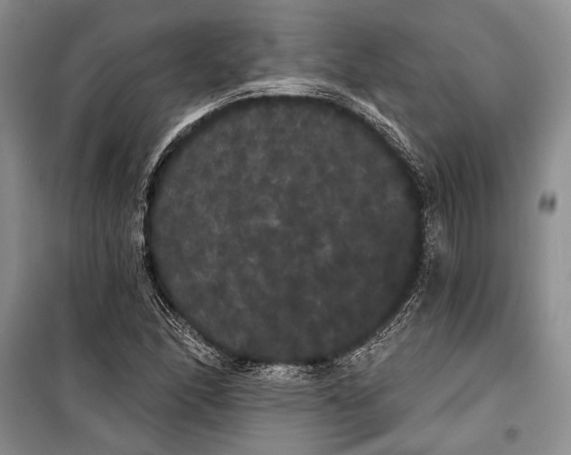 X0000100201166200806131223