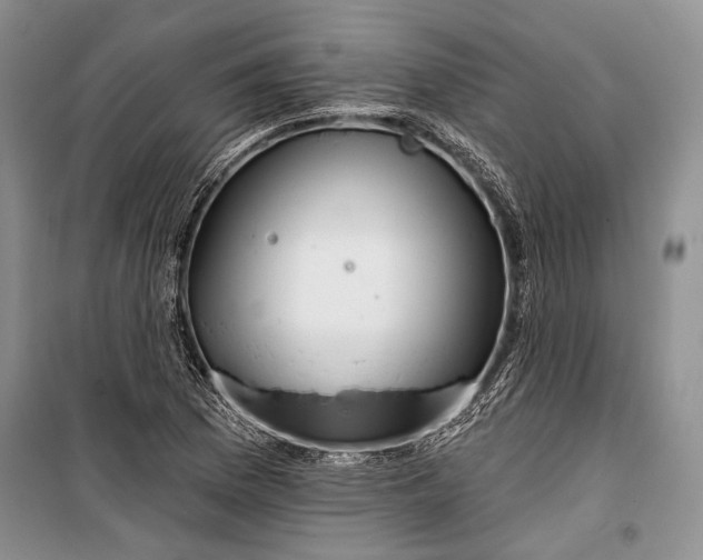 X0000100201169200806131223