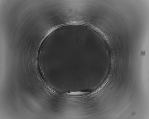 X0000100201170200806131223