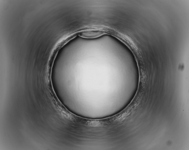 X0000100201172200806131223