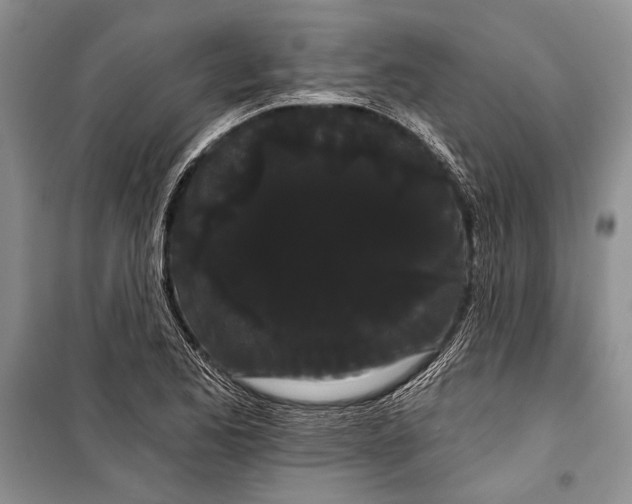 X0000100201173200806131223