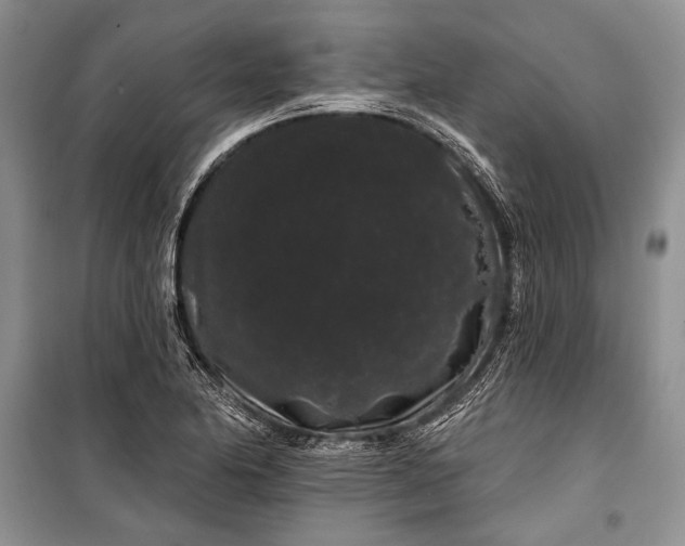 X0000100201174200806131223