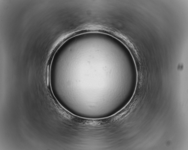 X0000100201175200806131223