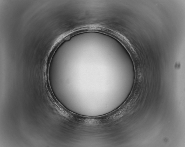 X0000100201176200806131223