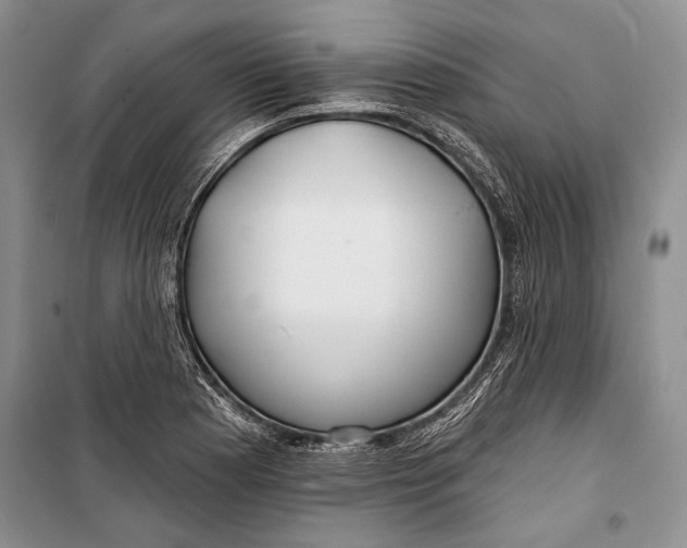 X0000100201177200806131223