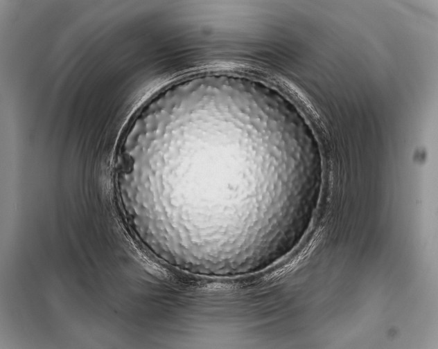 X0000100201178200806131223