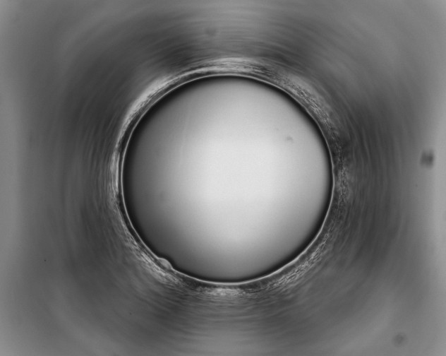 X0000100201180200806131223