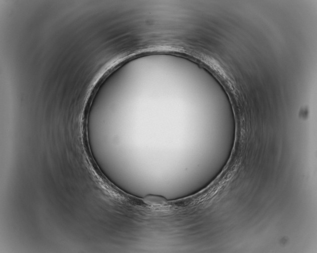 X0000100201181200806131223