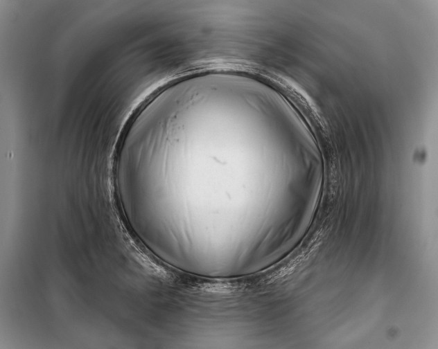 X0000100201182200806131223