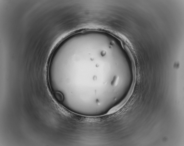 X0000100201183200806131223