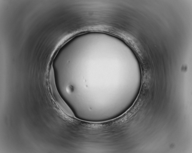 X0000100201184200806131223