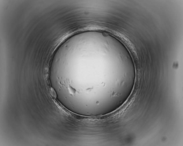 X0000100201185200806131223