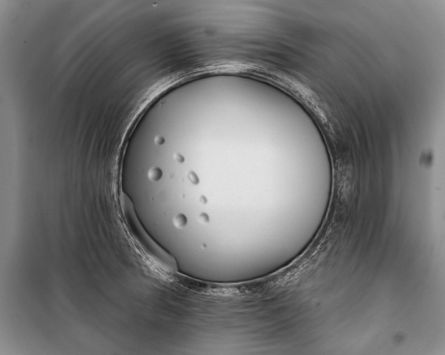 X0000100201186200806131223