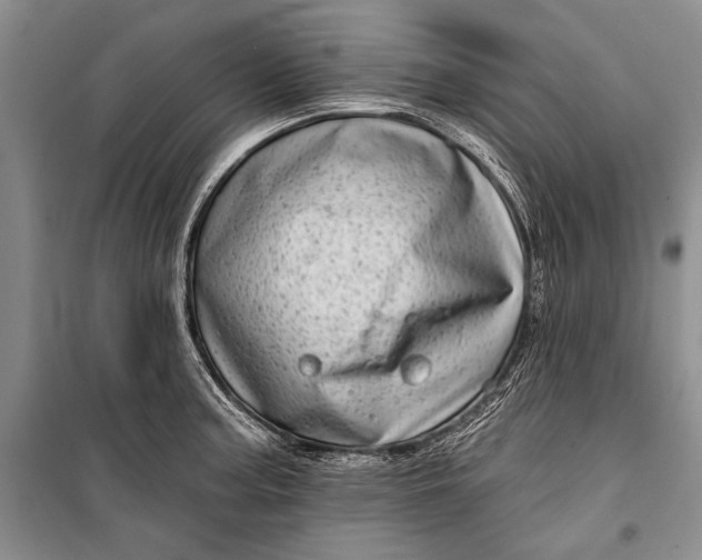 X0000100201187200806131222