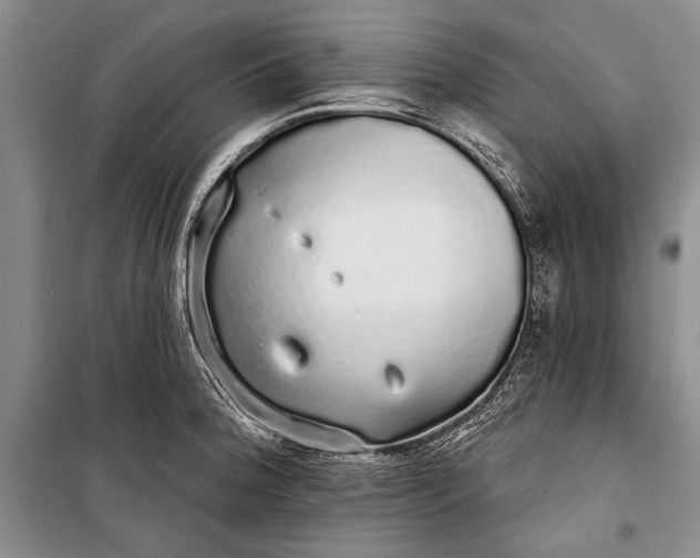 X0000100201188200806131222