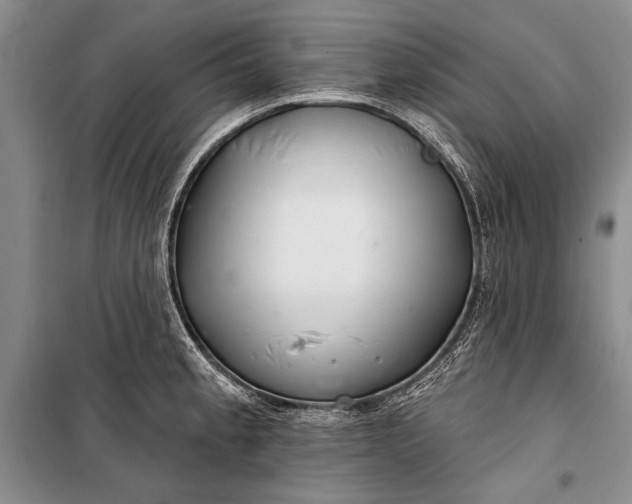 X0000100201189200806131222