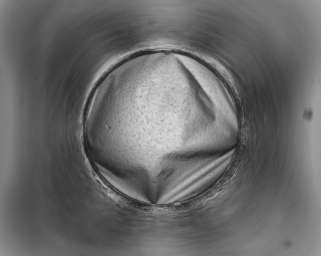 X0000100201191200806131222