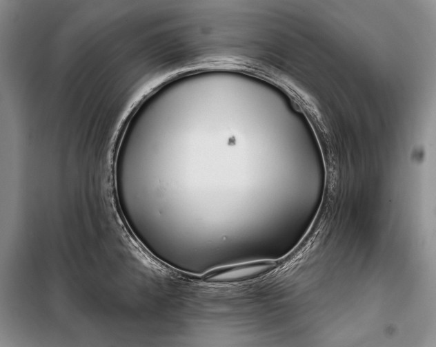 X0000100201192200806131222