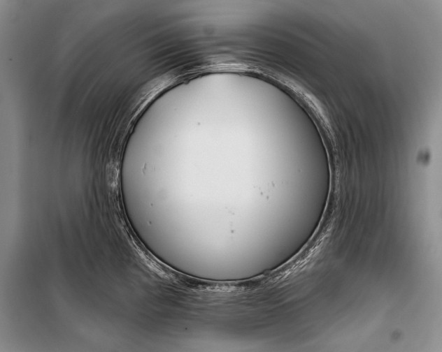 X0000100201193200806131222