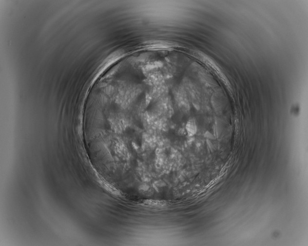 X0000100201194200806131222