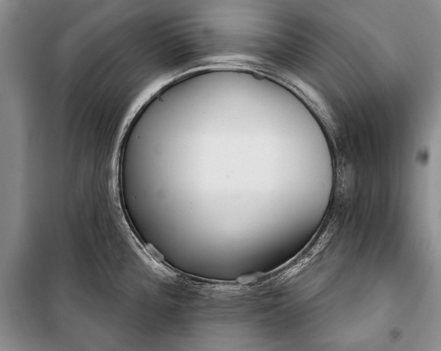 X0000100201196200806131222