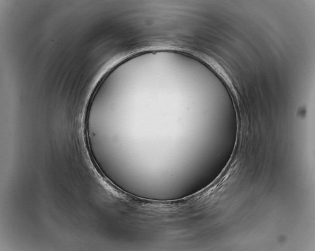 X0000100201197200806131222