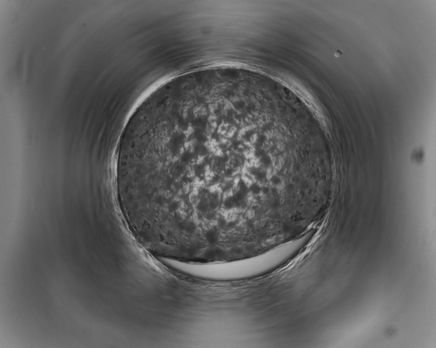 X0000100201198200806131222