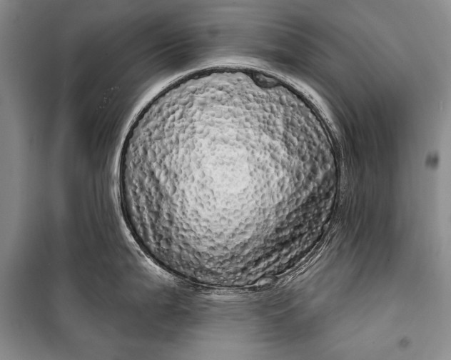 X0000100201199200806131222