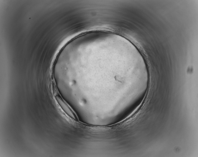 X0000100201200200806131222