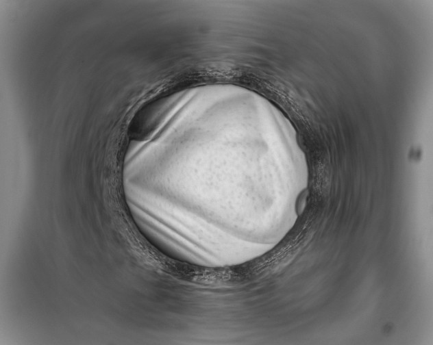 X0000100201201200806131222