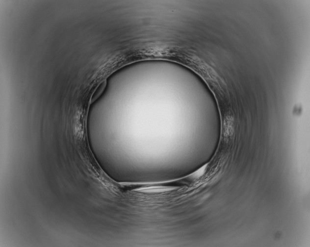 X0000100201202200806131222