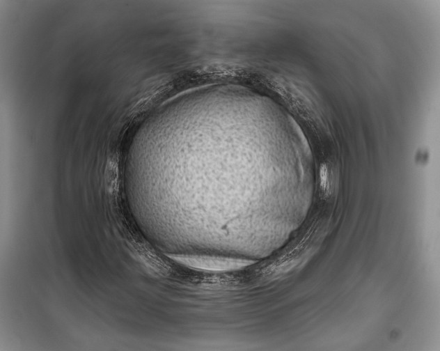 X0000100201203200806131222