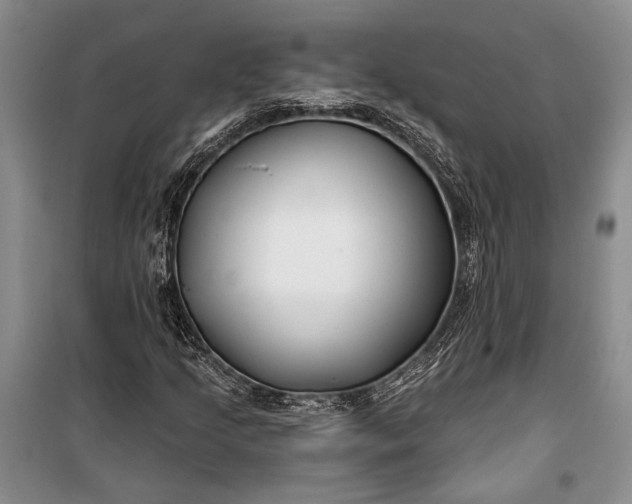 X0000100201205200806131222