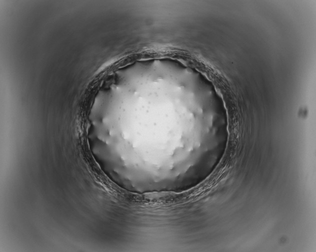 X0000100201206200806131222