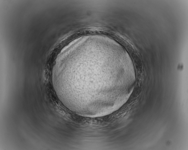 X0000100201207200806131222