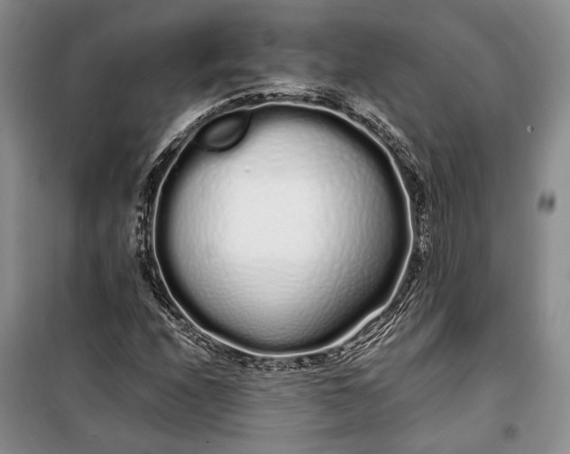 X0000100201208200806131222