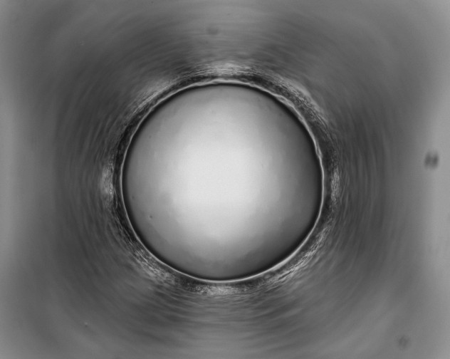 X0000100201209200806131222