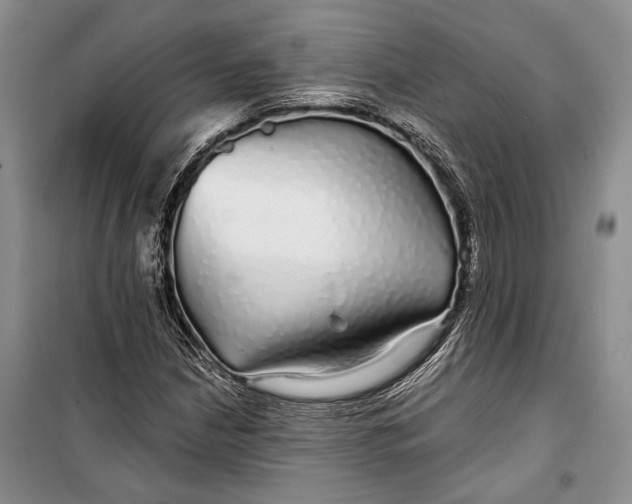 X0000100201210200806131222