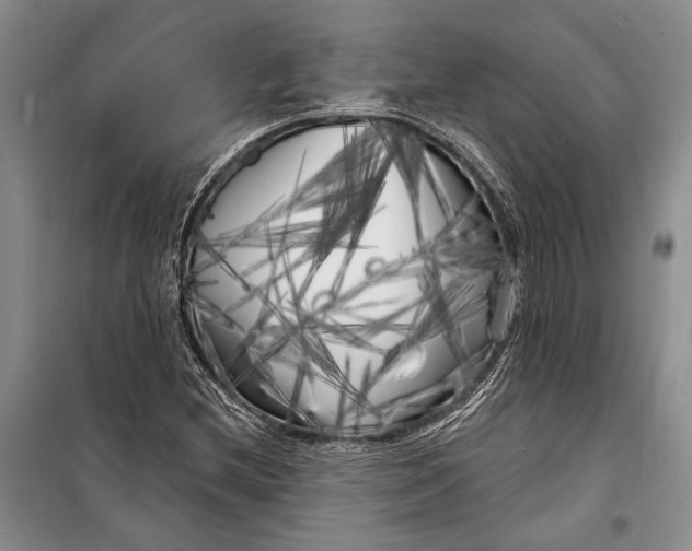 X0000100201212200806131222