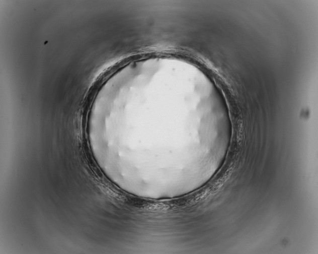 X0000100201214200806131222